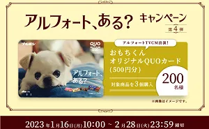 「おもちくん オリジナル QUOカード（500円分）」