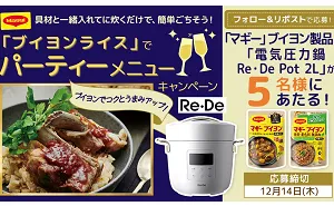電気圧力鍋Re・De Pot 2L