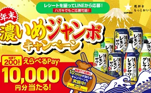えらべるPay 10万円