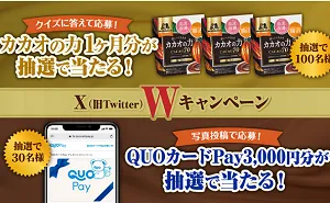 「カカオの力 1か月分」「QUOカードPay 3,000円」