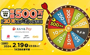 えらべるPay300円分