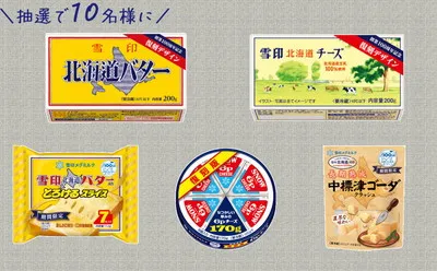 「雪印 創業100周年限定商品の詰め合わせ」
