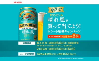 「晴れ風オリジナル アウトドアチェア」