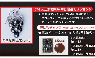 「三次ピオーネオリジナル黒真珠ネックレス」「三次ピオーネ」