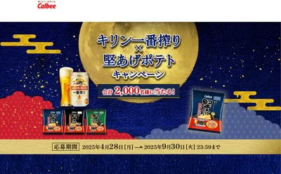 「堅あげポテトで乾杯！セット」「堅あげポテト焼きのり味1ケース」