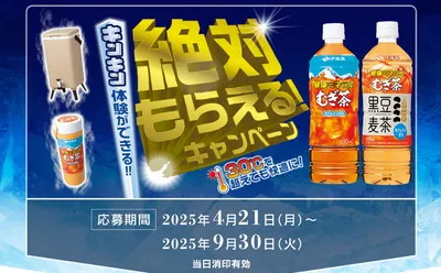 「キンキンサーバー」「キンキンマイボトル」