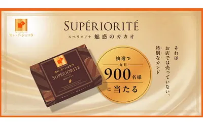 特別なカレ・ド・ショコラ＜スペリオリテ＞