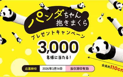 永谷園の懸賞で「パンダちゃん抱きまくら」が3,000名に当たる!