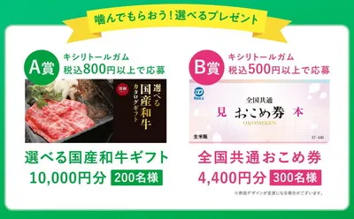 「選べる国産和牛カタログギフト 1万円」「おこめ券 4400円」当たる！