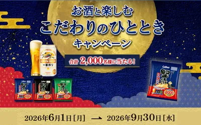 「堅あげポテトで乾杯！セット」「ながら時間満喫セット」「Amazonギフトカード500円」当たる！