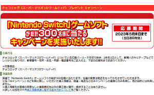 Nintendo Switch ゲームソフト