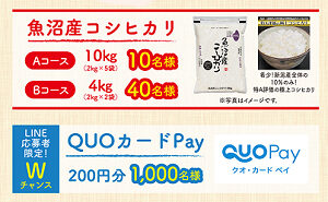 「魚沼産コシヒカリ」「QUOカードPay 200円」