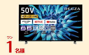 「東芝液晶テレビ50V型」「BLUEAIR空気清浄機」