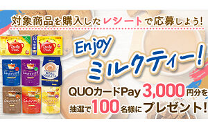 「QUOカードPay 3,000円分」