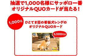 「ひとてま荘の看板犬レンゲ QUOカード 3,000円」1,000名様！