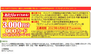 「QUOカード 3,000円」1,000名様！