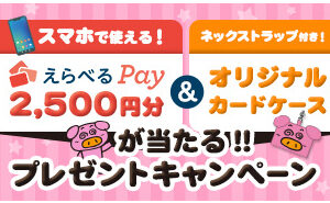 「えらべるPay2,500円分」「ブタメン オリジナルカードケース」