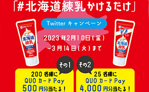 「QUOカードPay500円分」「QUOカードPay4,000円分」