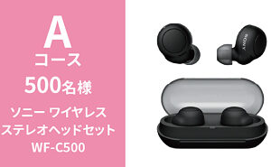 「ソニー ワイヤレスステレオヘッドセット」