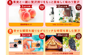 「国産果物セット」「Toffy ミニスロージューサー」