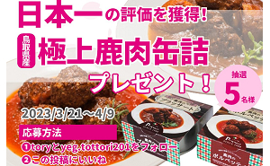 Amazonギフト券500円分