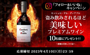 「悪魔のワイン（カッシェロ・デル・ディアブロ マルベック）」