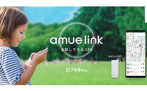ソニーネットワークコミュニケーションズ『amue link』