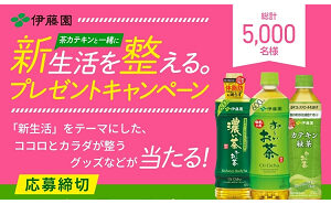 「体験カタログ」「QUOカード 500円」