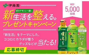 「体験カタログ」「QUOカード 500円」