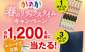 「かのか 味わい彩りBOX」「Yogibo Mini ネイビーブルー」