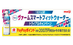 「PayPayポイント 10,000円」