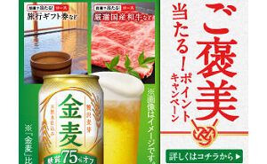 「旅行ギフト券」「厳選国産和牛」「デジタルポイント」