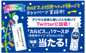 「カルピス 1ケース」