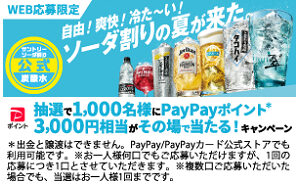 「PayPayポイント3,000円相当」1,000名様！