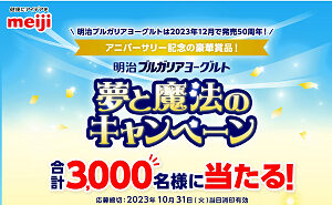 「東京ディズニーリゾートパークチケット」