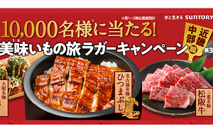 「うなぎ割烹 一愼 鰻のひつまぶし(3食分)」