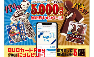 「QUOカード Pay5000円分」