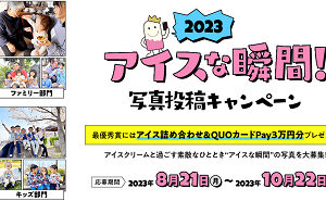 「アイス詰め合わせ」「QUOカードPay」