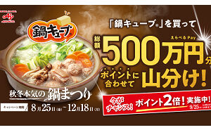 「えらべるPay」総額500万円分山分け