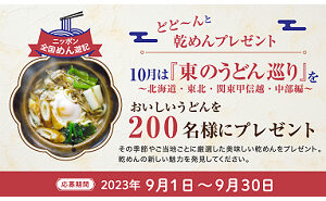 おいしい乾めんのうどん