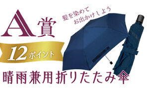 「晴雨兼用折りたたみ傘」「スリムポーチ」「えらべるpay」