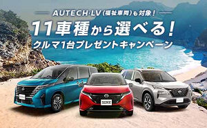 「日産車 11車種 1台」