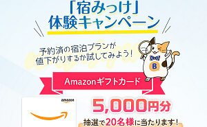 Amazonギフトカード（Eメールタイプ）5,000円分
