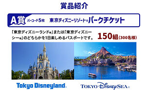 「東京ディズニーリゾート パークチケット」