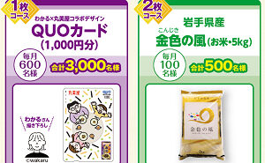 「わかるさんデザイン 丸美屋QUOカード1,000円」