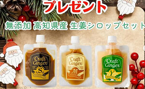 無添加 高知県産 生姜シロップセット