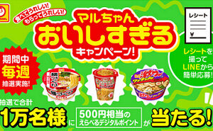 「選べるデジタルポイント 500円相当」