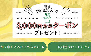 新規Web加入で、「クーポン 3,000円」