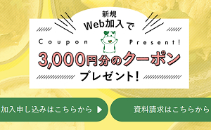 新規Web加入で、「クーポン 3,000円」
