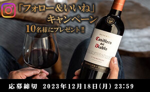 「悪魔のワイン（カッシェロ・デル・ディアブロ カルメネール）」